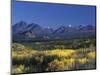 Fall Colours over Denali National Park, Alaska, USA-John Warburton-lee-Mounted Photographic Print