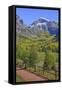 Fall Colours, Telluride, Western San Juan Mountains in the Background-Richard Maschmeyer-Framed Stretched Canvas