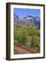 Fall Colours, Telluride, Western San Juan Mountains in the Background-Richard Maschmeyer-Framed Photographic Print