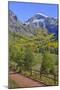 Fall Colours, Telluride, Western San Juan Mountains in the Background-Richard Maschmeyer-Mounted Photographic Print