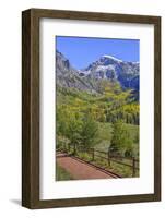 Fall Colours, Telluride, Western San Juan Mountains in the Background-Richard Maschmeyer-Framed Photographic Print