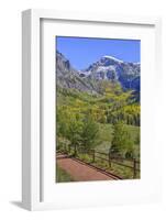 Fall Colours, Telluride, Western San Juan Mountains in the Background-Richard Maschmeyer-Framed Photographic Print