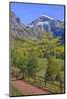 Fall Colours, Telluride, Western San Juan Mountains in the Background-Richard Maschmeyer-Mounted Photographic Print