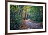 Fall Colours-Tim Oldford-Framed Photographic Print