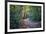 Fall Colours-Tim Oldford-Framed Photographic Print