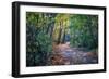 Fall Colours-Tim Oldford-Framed Photographic Print