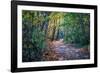 Fall Colours-Tim Oldford-Framed Photographic Print