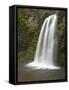 Fall Creek Falls, Oregon, USA-William Sutton-Framed Stretched Canvas