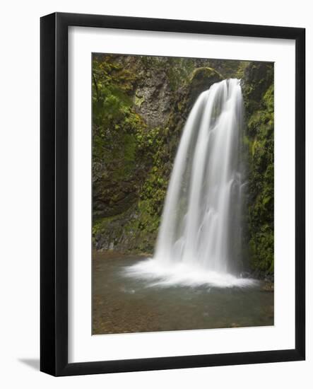 Fall Creek Falls, Oregon, USA-William Sutton-Framed Photographic Print