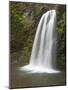 Fall Creek Falls, Oregon, USA-William Sutton-Mounted Photographic Print