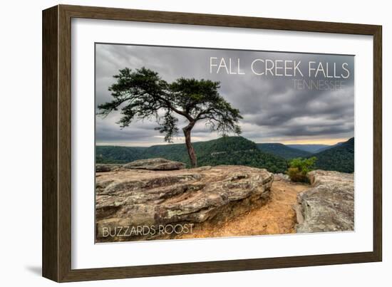 Fall Creek Falls State Park, Tennessee - Buzzards Roost-Lantern Press-Framed Art Print