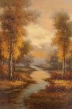 Fall Creek-Pierre-Art Print