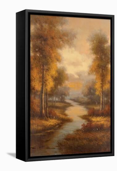 Fall Creek-null-Framed Stretched Canvas