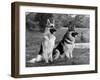 Fall, Crufts, 2 Champions-Thomas Fall-Framed Premium Photographic Print