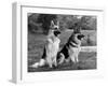 Fall, Crufts, 2 Champions-Thomas Fall-Framed Premium Photographic Print