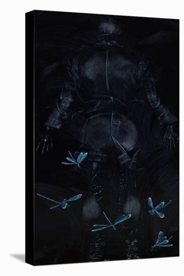 Fall: Damsel Flies, 2008-Richard Pomeroy-Stretched Canvas