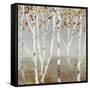 Fall Diffraction-Allison Pearce-Framed Stretched Canvas