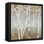Fall Diffraction-Allison Pearce-Framed Stretched Canvas