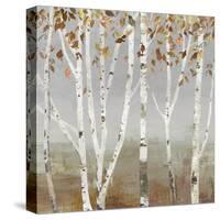 Fall Diffraction-Allison Pearce-Stretched Canvas