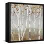 Fall Diffraction-Allison Pearce-Framed Stretched Canvas