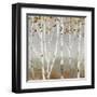 Fall Diffraction-Allison Pearce-Framed Art Print