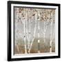 Fall Diffraction-Allison Pearce-Framed Art Print