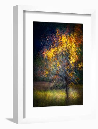 Fall Drama-Ursula Abresch-Framed Photographic Print