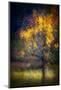 Fall Drama-Ursula Abresch-Mounted Photographic Print