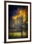 Fall Drama-Ursula Abresch-Framed Photographic Print