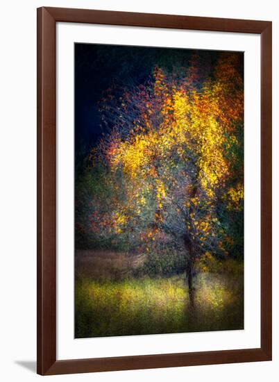 Fall Drama-Ursula Abresch-Framed Photographic Print