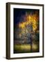 Fall Drama-Ursula Abresch-Framed Photographic Print