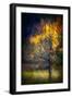 Fall Drama-Ursula Abresch-Framed Photographic Print