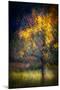 Fall Drama-Ursula Abresch-Mounted Photographic Print