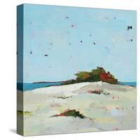 Fall Dune-Phyllis Adams-Stretched Canvas