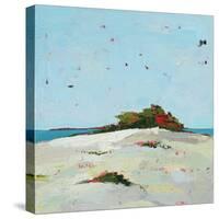 Fall Dune-Phyllis Adams-Stretched Canvas