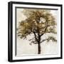 Fall Echo-Tania Bello-Framed Giclee Print