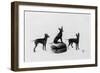 Fall, English Toy Terrier-Thomas Fall-Framed Photographic Print