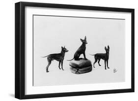 Fall, English Toy Terrier-Thomas Fall-Framed Photographic Print