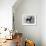 Fall, English Toy Terrier-Thomas Fall-Framed Photographic Print displayed on a wall