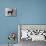 Fall, English Toy Terrier-Thomas Fall-Mounted Photographic Print displayed on a wall