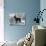 Fall, English Toy Terrier-Thomas Fall-Photographic Print displayed on a wall