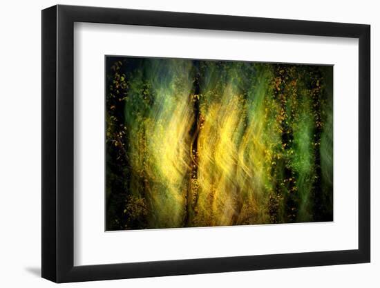 Fall Fantasy 1-Ursula Abresch-Framed Photographic Print