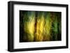 Fall Fantasy 1-Ursula Abresch-Framed Photographic Print