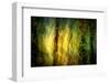 Fall Fantasy 1-Ursula Abresch-Framed Photographic Print