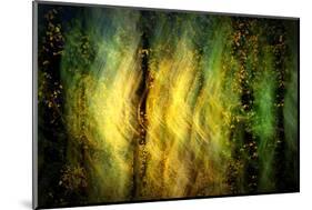 Fall Fantasy 1-Ursula Abresch-Mounted Photographic Print