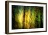 Fall Fantasy 1-Ursula Abresch-Framed Photographic Print