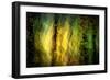 Fall Fantasy 1-Ursula Abresch-Framed Photographic Print