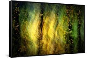 Fall Fantasy 1-Ursula Abresch-Framed Stretched Canvas