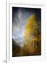 Fall Fantasy 2-Ursula Abresch-Framed Photographic Print