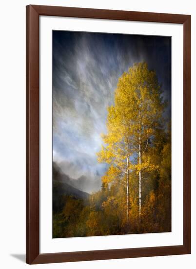 Fall Fantasy 2-Ursula Abresch-Framed Photographic Print